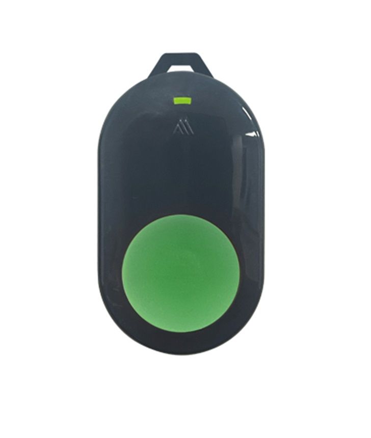 Paradox M25 REM101M, szürke ház, zöld gomb Rem101 M25